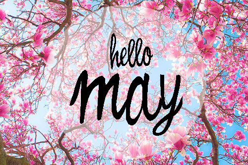 Member Contributions To Open Source Software - May 2024